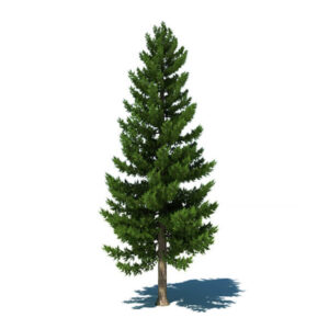 tree item